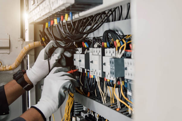 Best Electric Panel Repair  in Cokato, MN